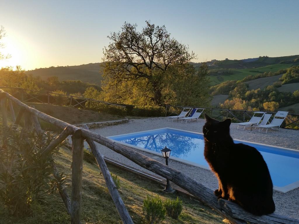 Agriturismo Tre Querce Penna San Giovanni Esterno foto